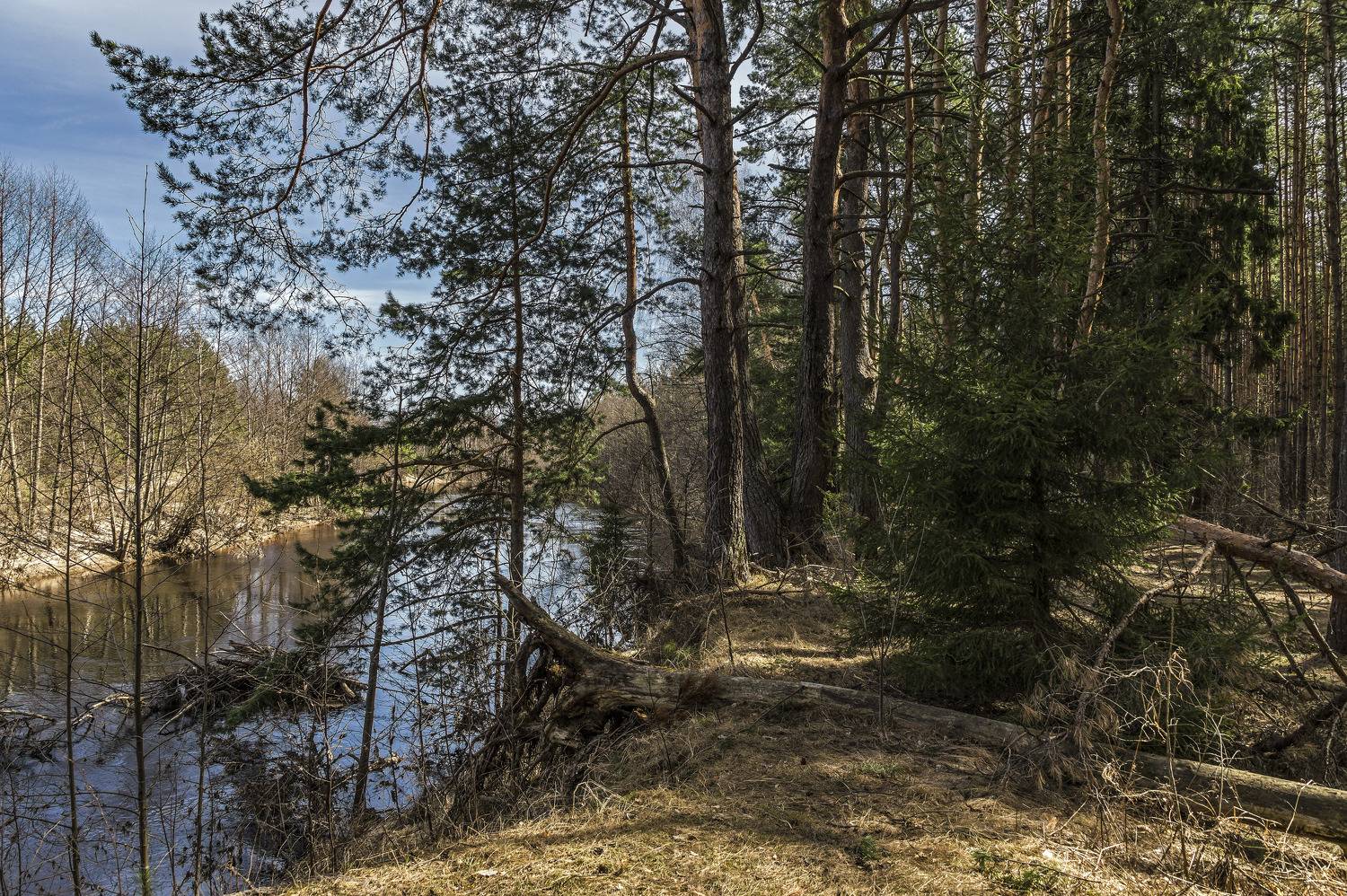 , Шитов Александр