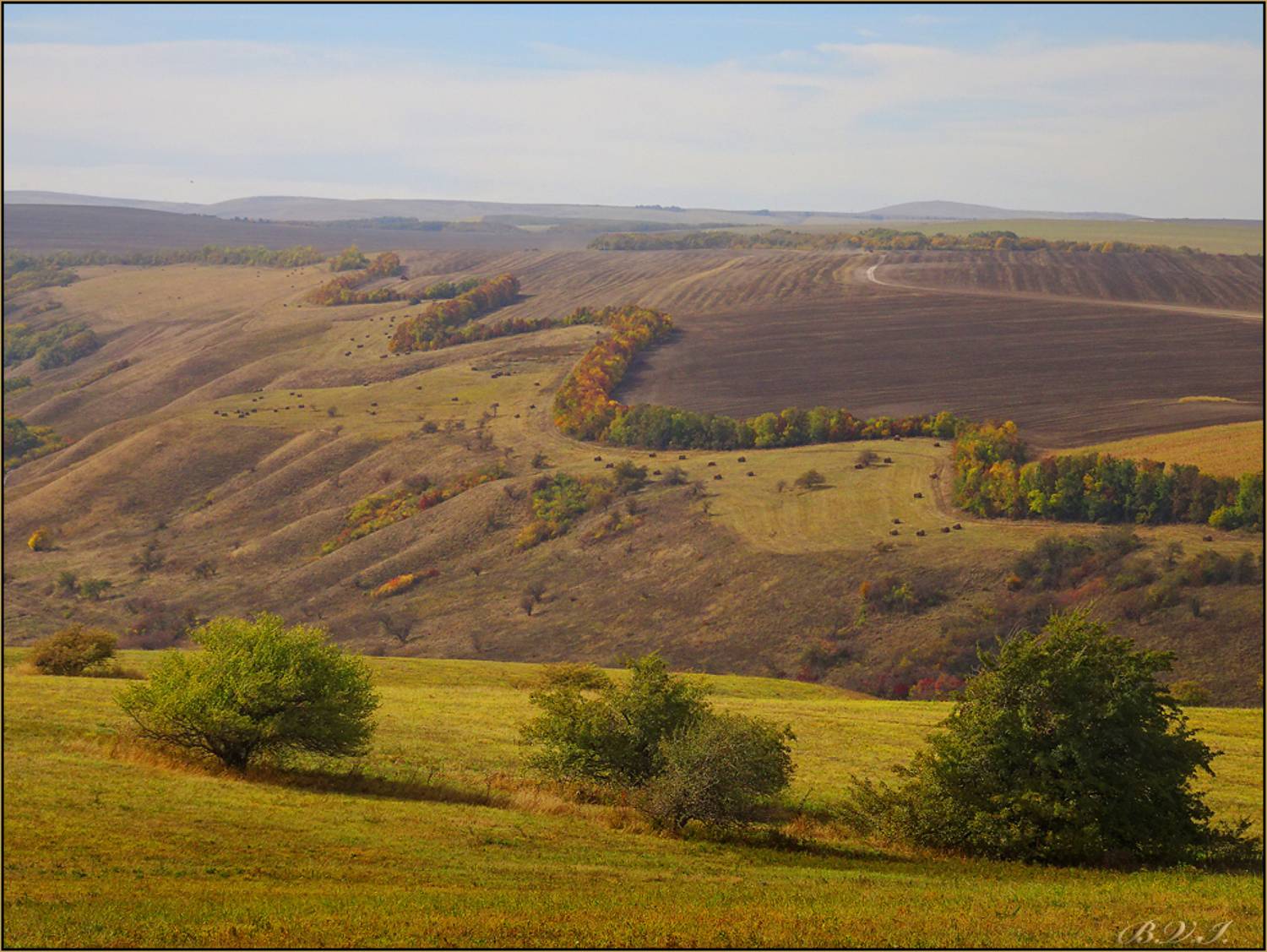 , Vlad`a