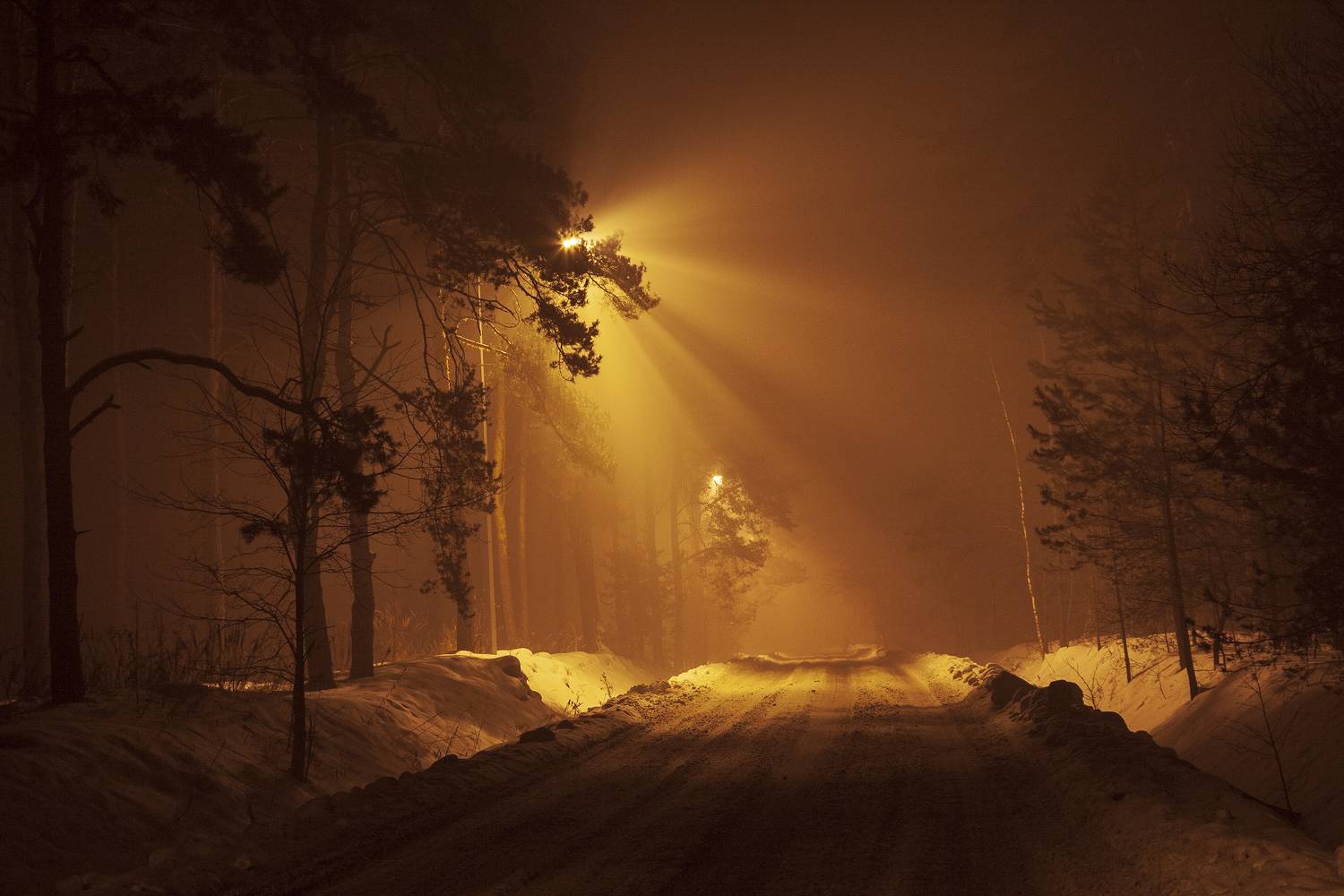 snow, road, night,  Gregor
