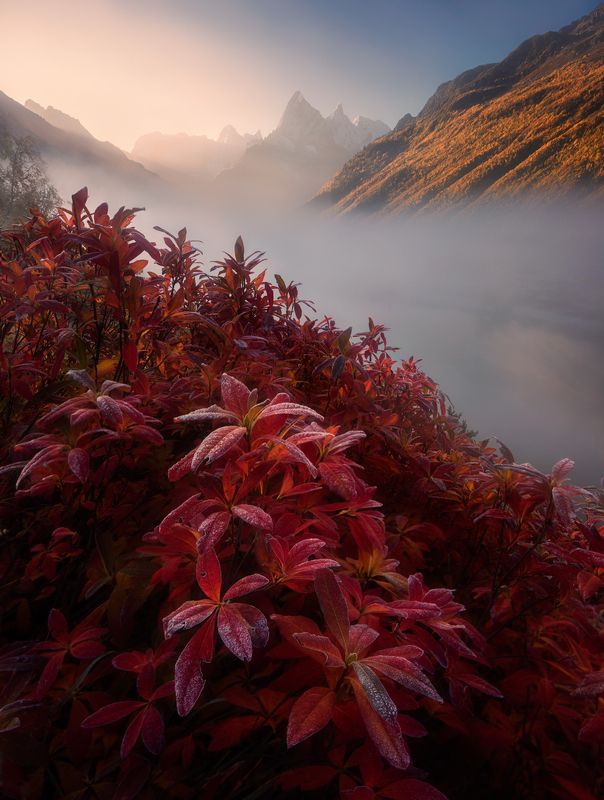 домбай, туманлы-кёль Туманлы-Кёль фото превью