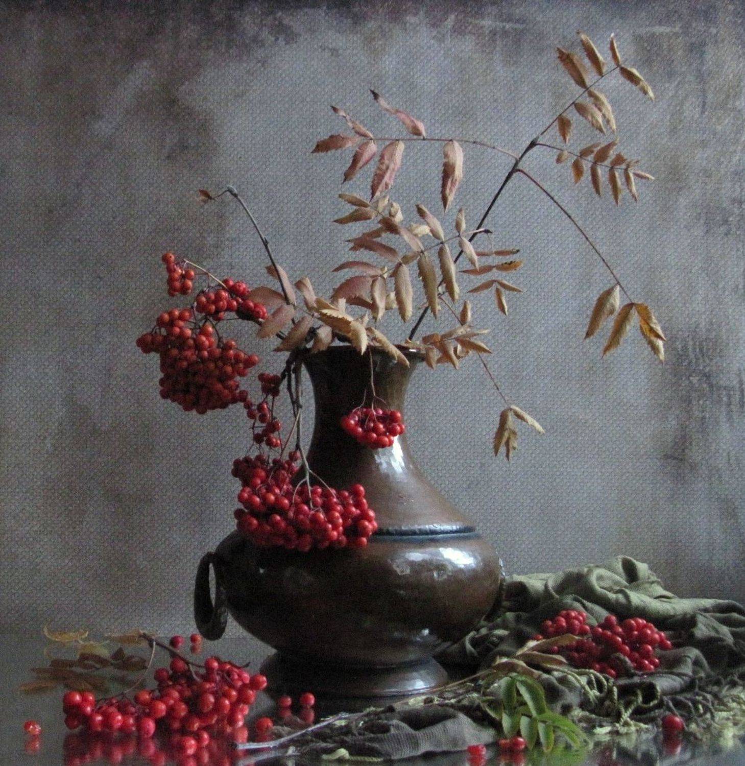 ветки, рябина, осень, октябрь, Наталия Тихомирова