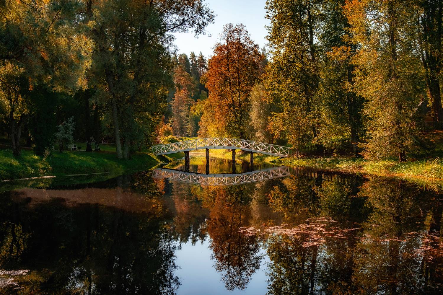 , Добродий Михаил