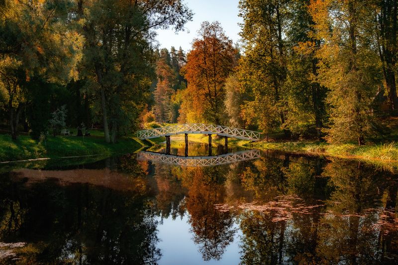 Михайловское фото превью