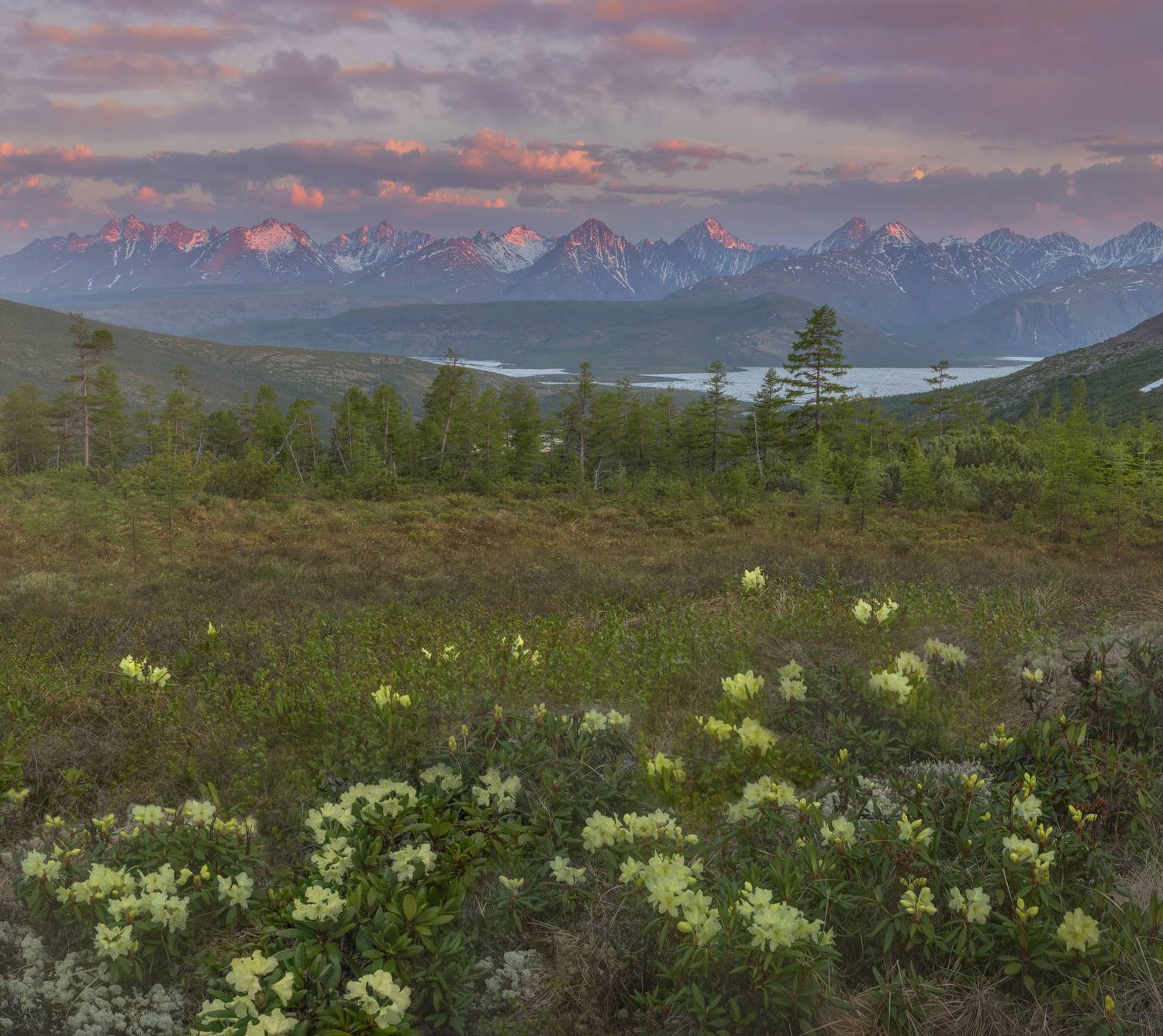 Фототуры с Владимиром Рябковым, #озероджекалондона #колыма #loves_russia #nikonrussia #landscape_russia #ru_landscape  #русскийсевер #landscapephotography #photoarena_nature #Russiannature #большаястрана #russpasibo #topnature #lovelyRussia #природаРоссии, Владимир Рябков
