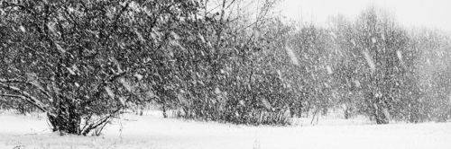 Заметает / Covered