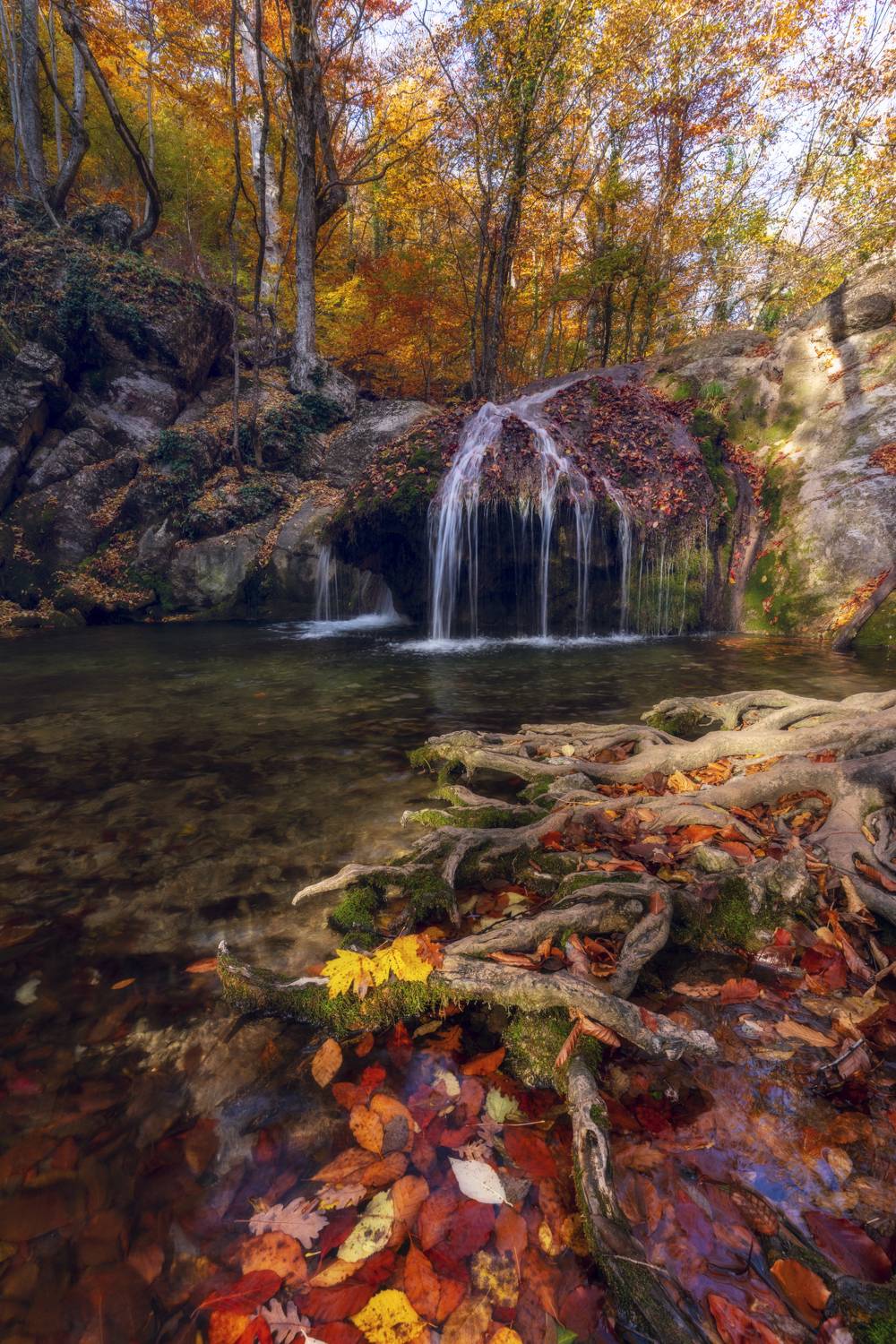 , Юлия Мальцева