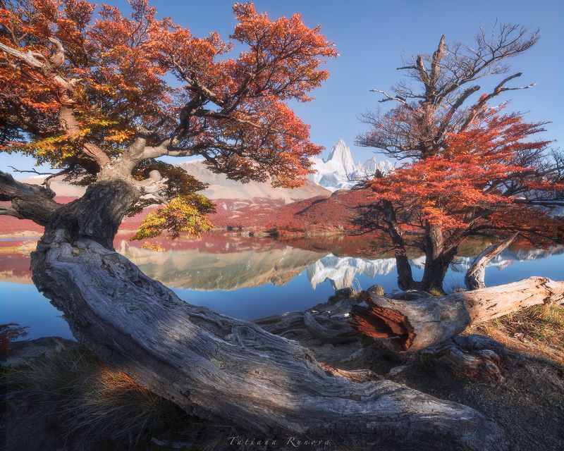 Фиц Рой сквозь осеннюю листву фото превью