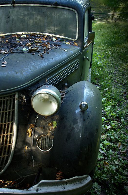 забытое счастье фото превью