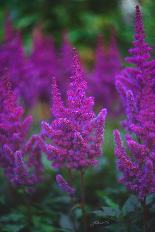 Если человек видит всё в ярком свете, значит свет его души ему это позволяет фото превью