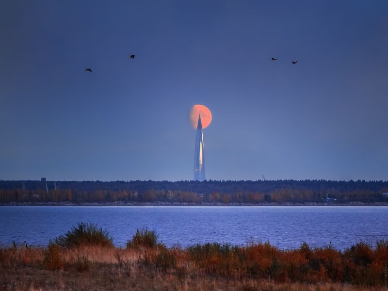 фото превью