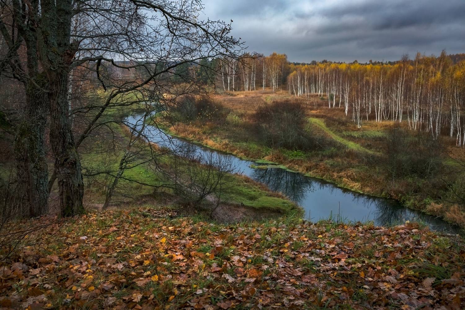 , Евгений Ерохин