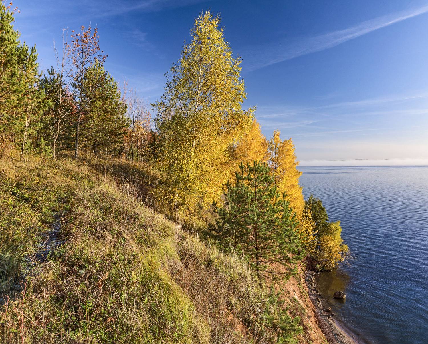 , Шитов Александр