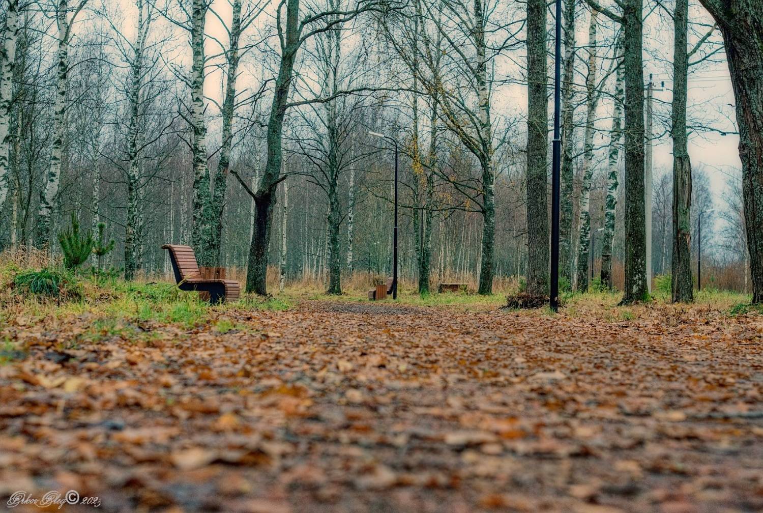 , Орлов Олег