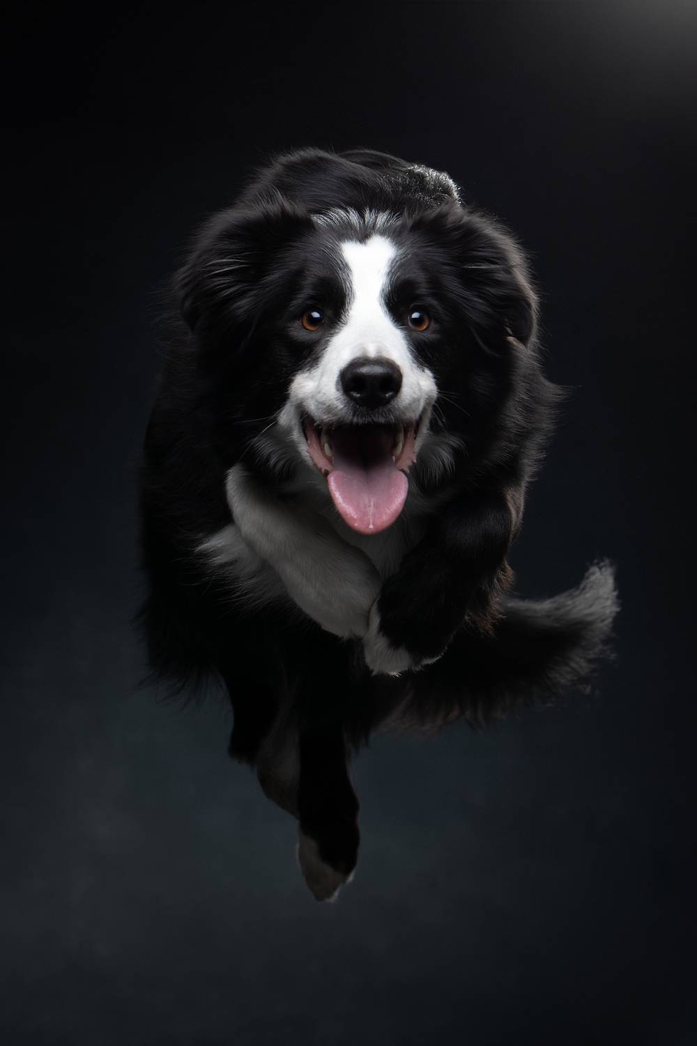 , Светлана Писарева