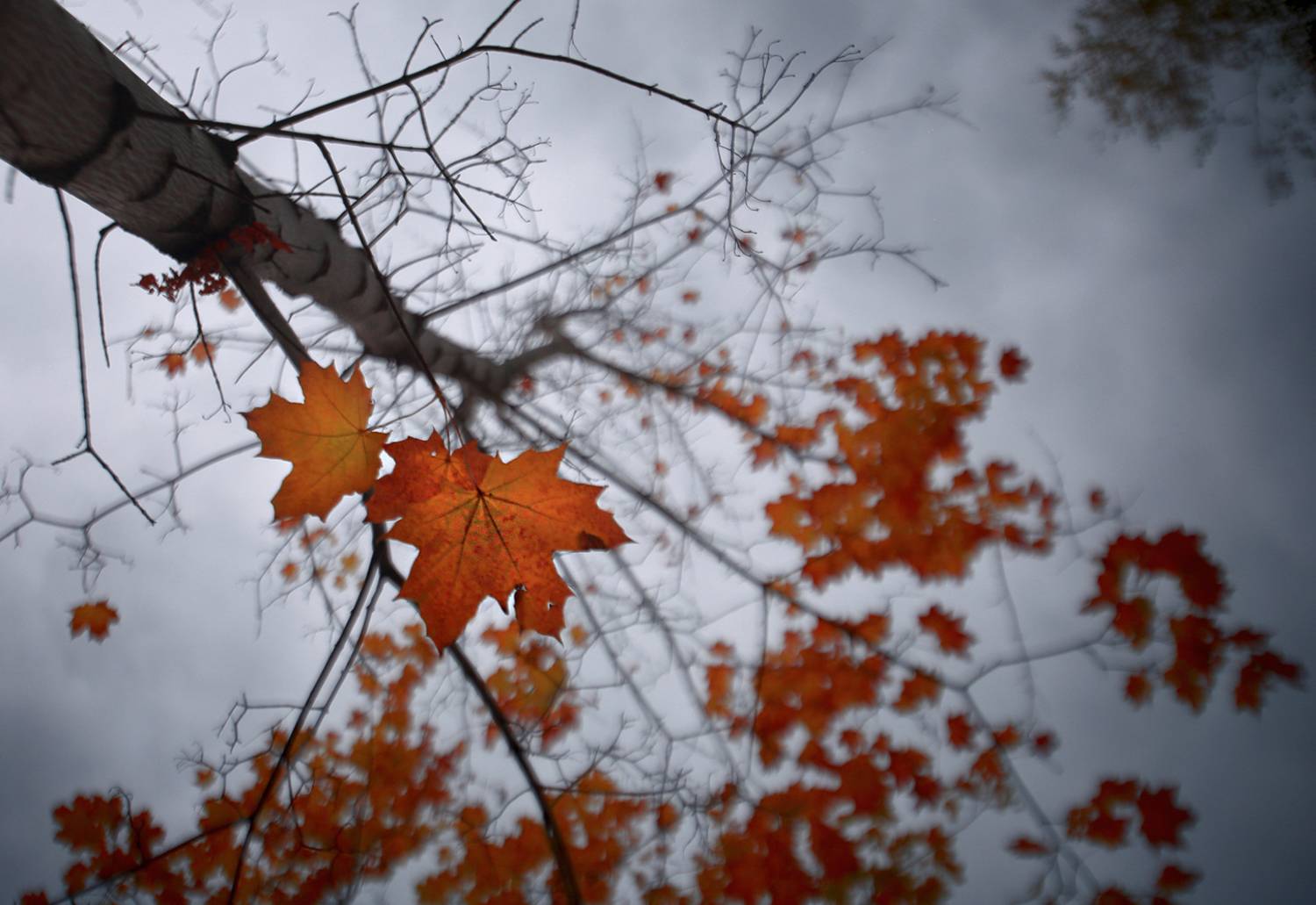 , Евгений Зинов