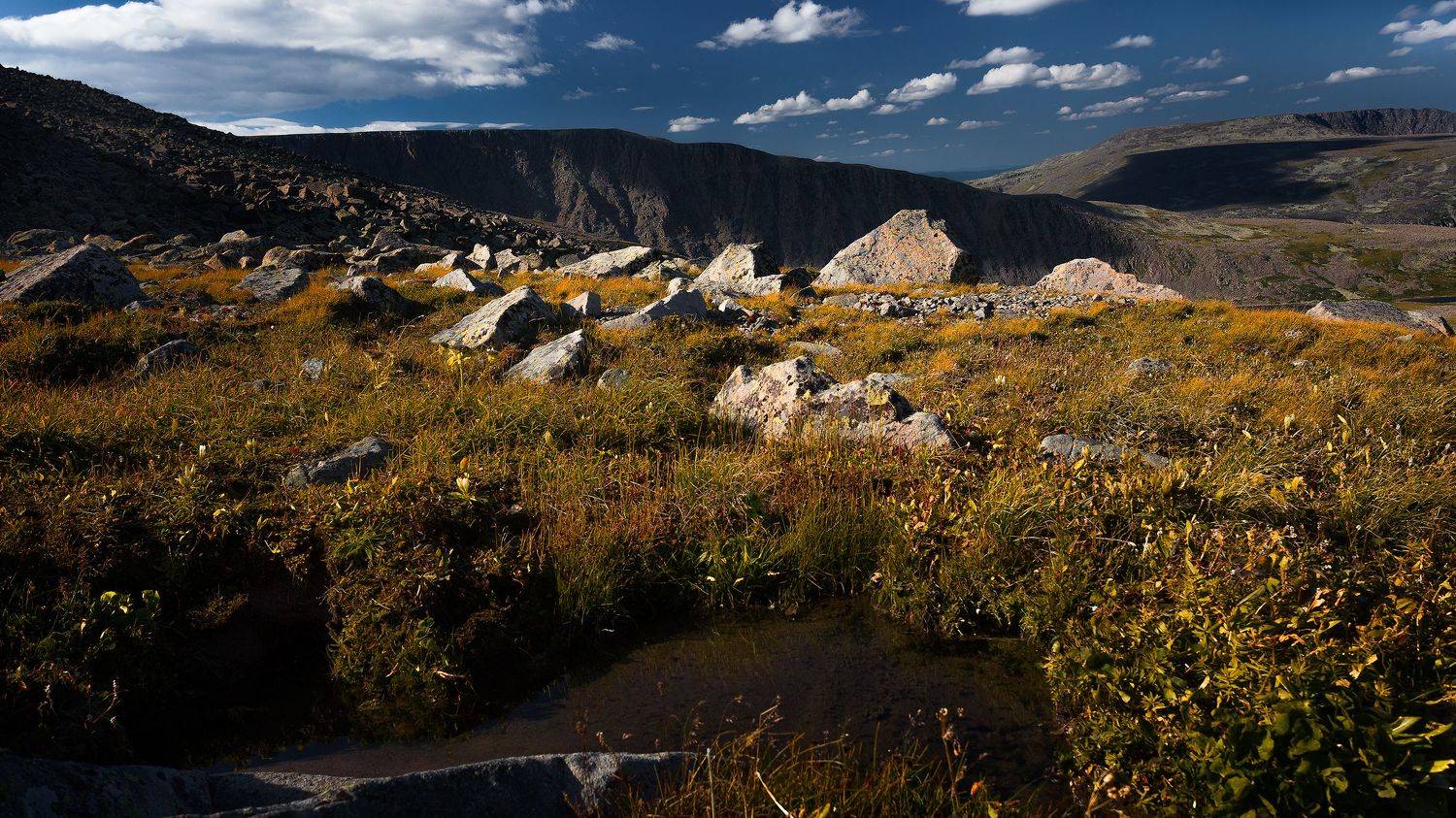 Тундра Высокогорье Камни Горы Сопки Голец, Андреев Сергей