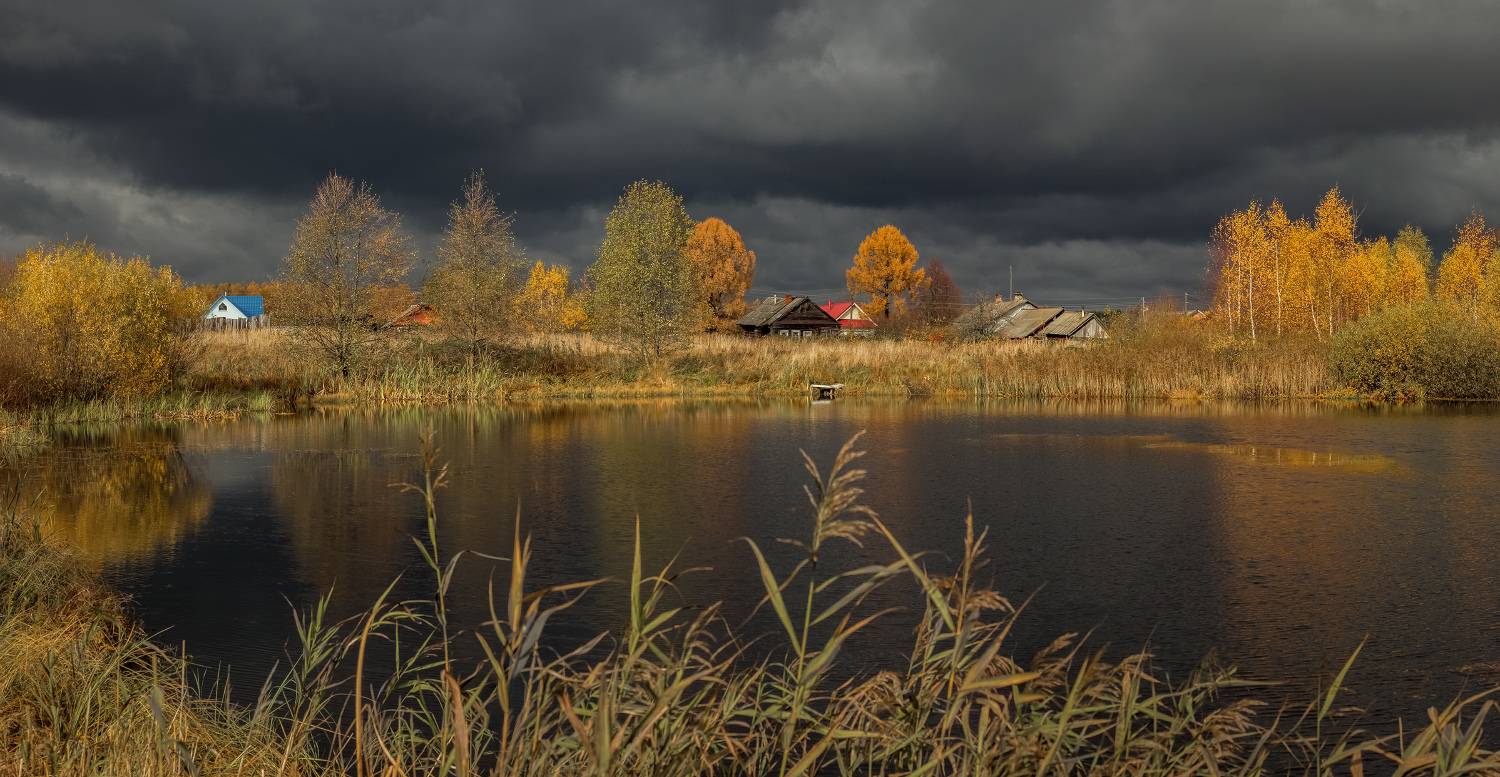 пивоварово осень октябрь свет состояние, Дмитрий Алексеев