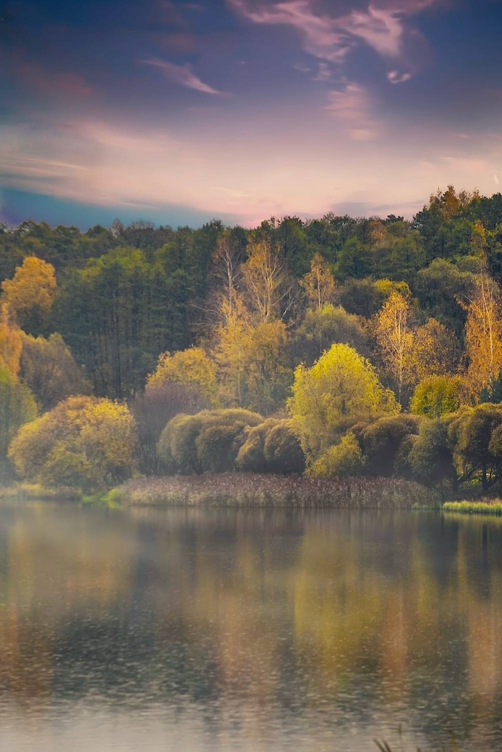 пейзаж, landscape, nature, природа, осень, autumn, золотаяосень, goldatum, лес, forest, закат, sunset, пруд, туман, Julia Kaissa