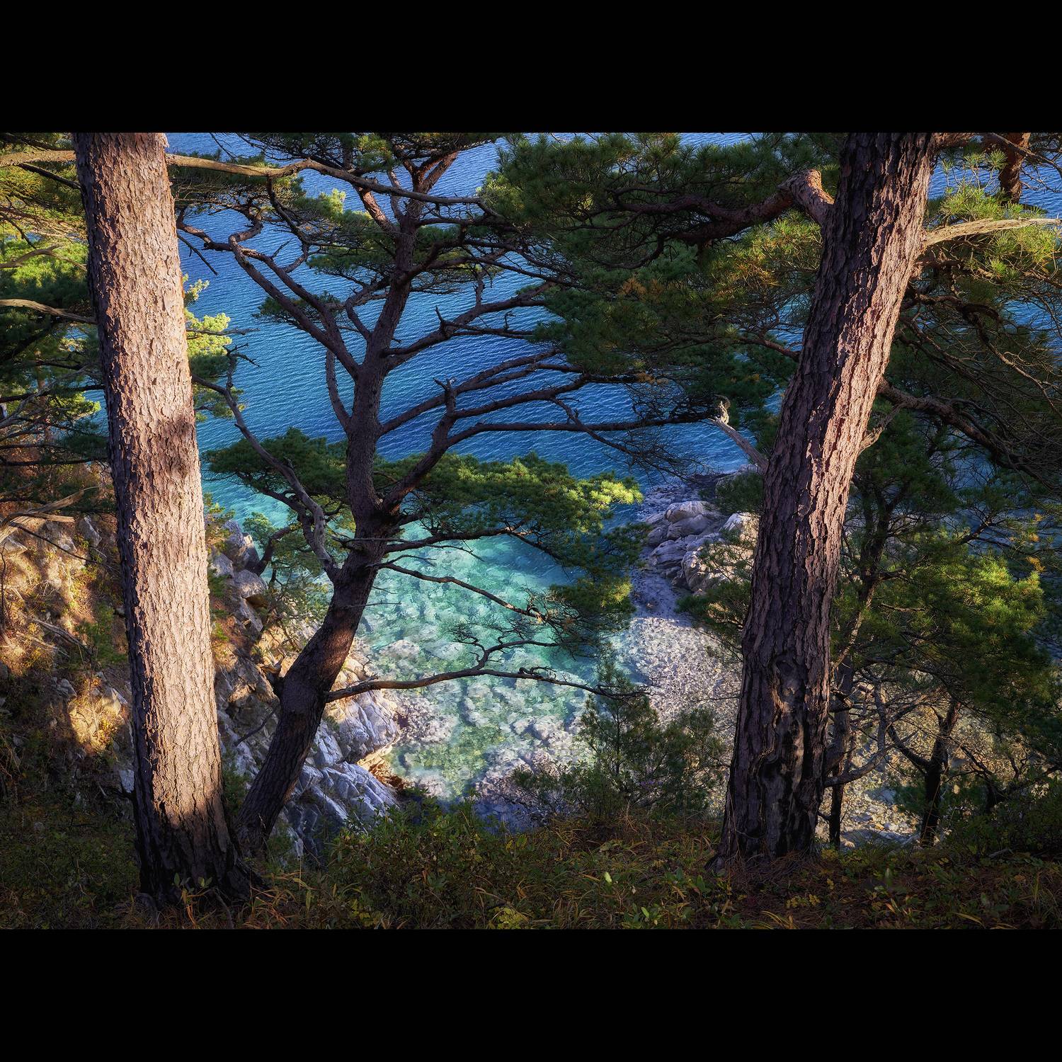 сосны, приморье, россия, приморский край, море, японское море, закат, кекур, природа, пейзаж, Ivan A. Godovikov