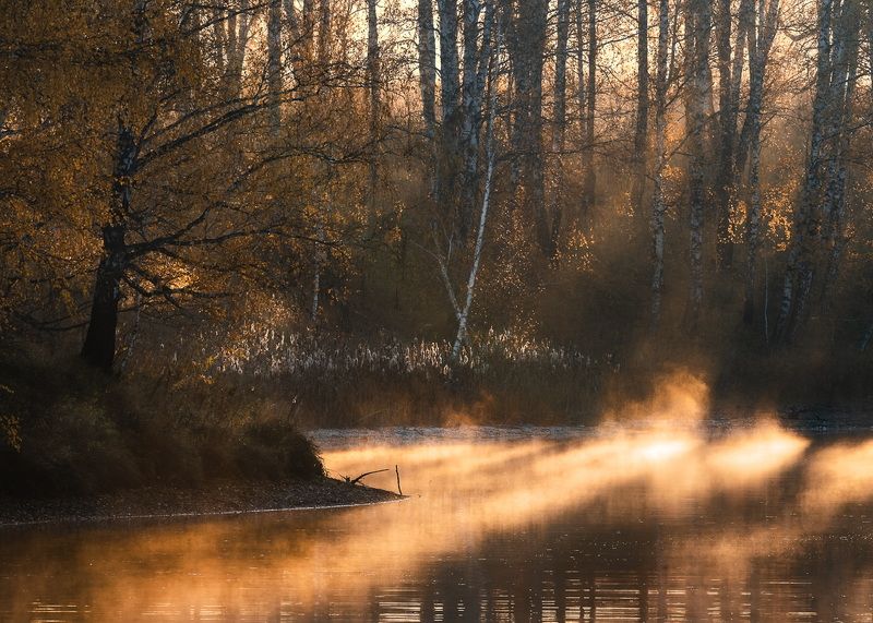 Оранжевое настроение…. Orange mood… фото превью