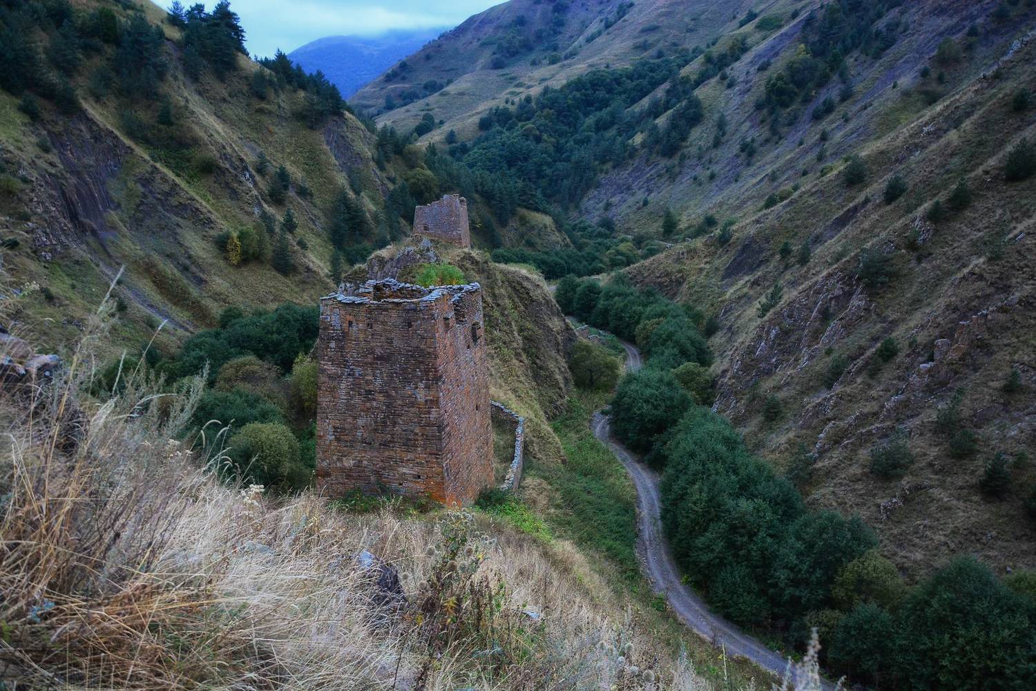 , Юлия Абрамова