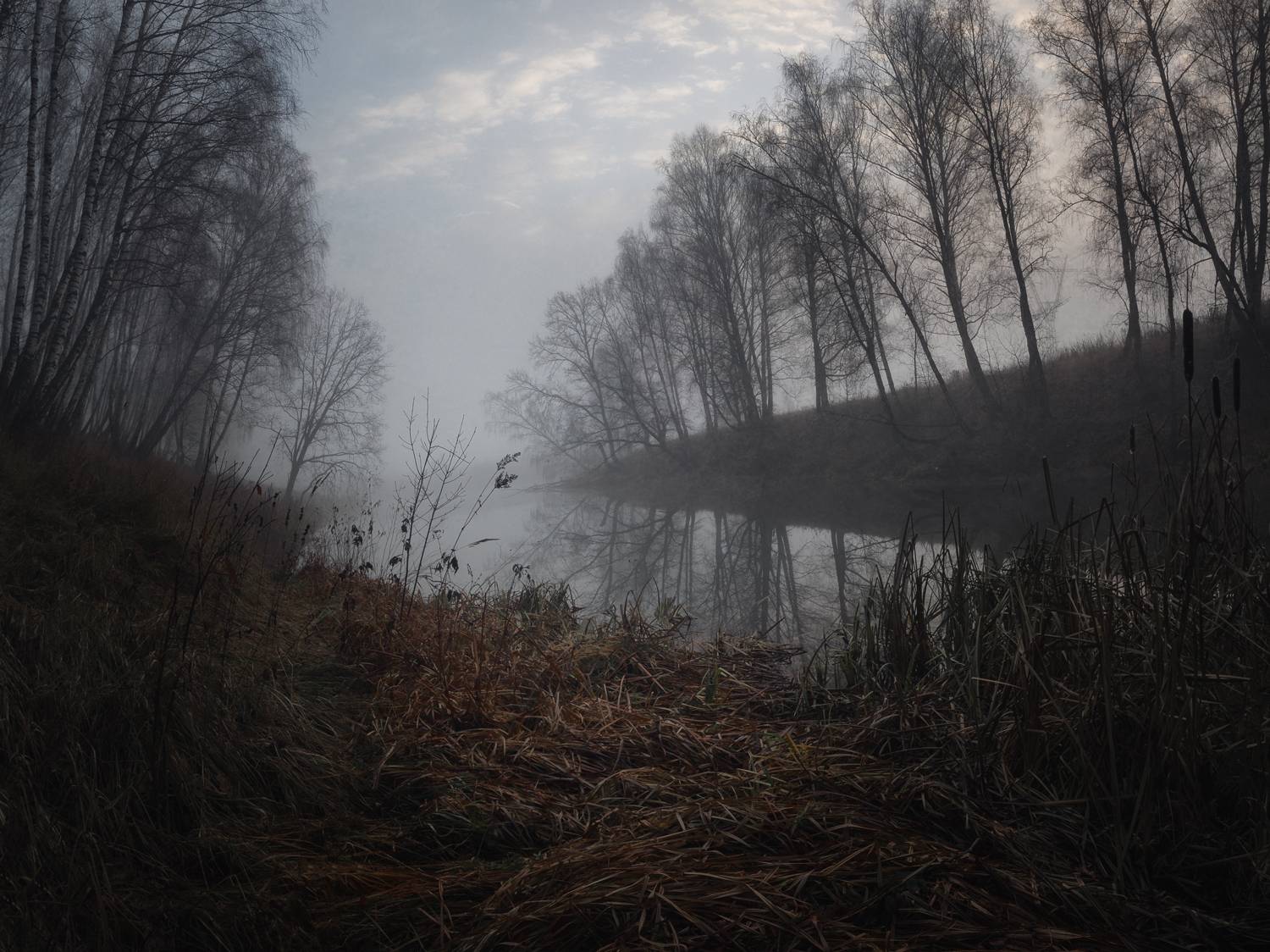 #пезаж #осень #туман #рассвет,  Ольга