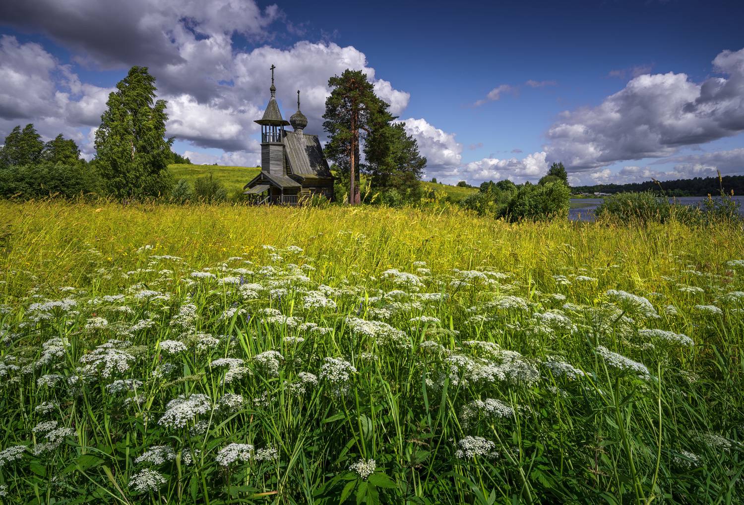 глазово, кенозеро, лето, июль, Зверев Олег