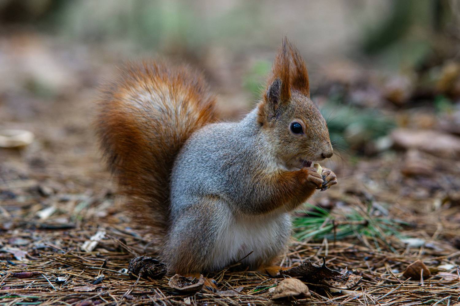 , Вертиков Юрий