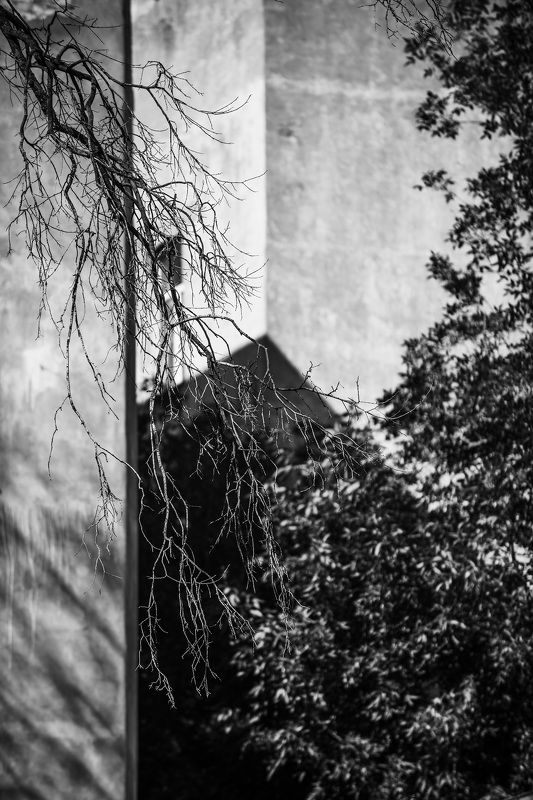 Питер фото превью