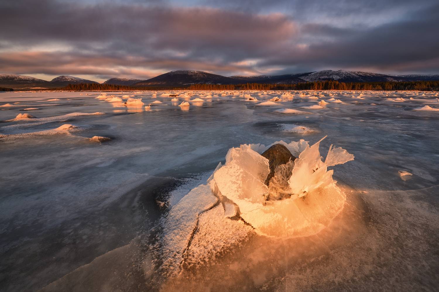 , Максим Евдокимов