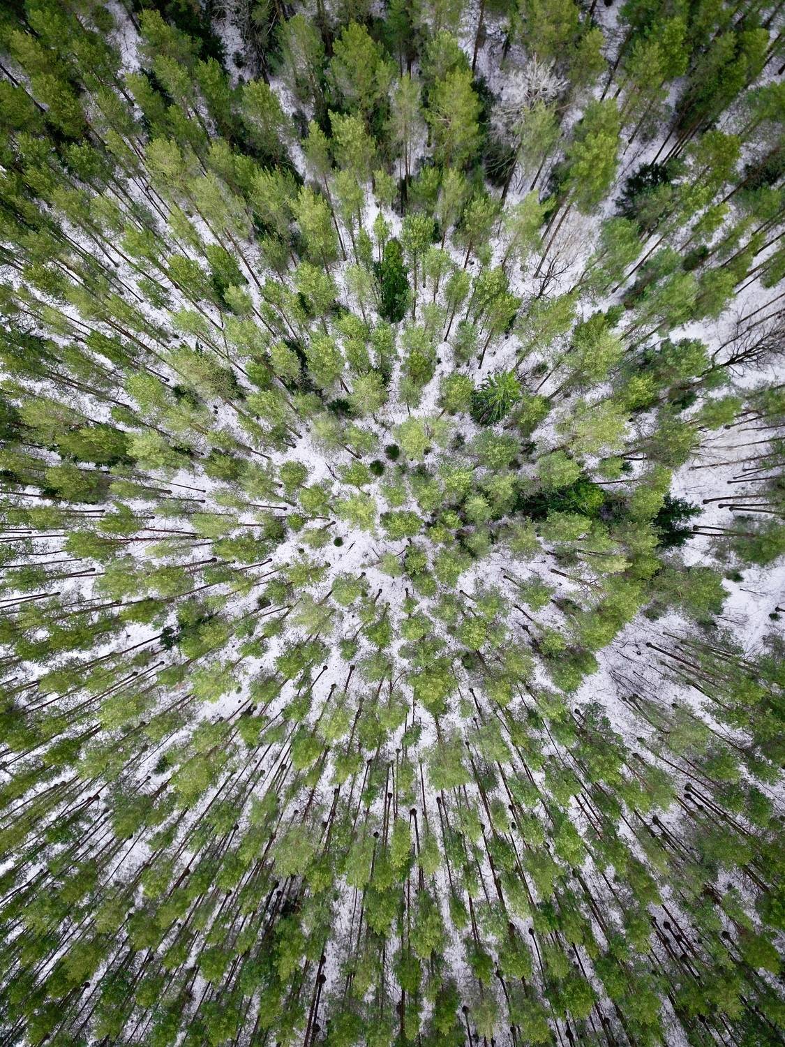 , Сергей Фаренюк