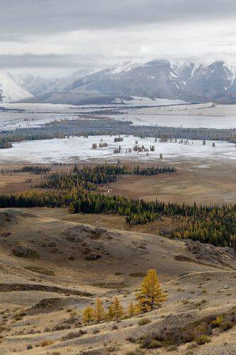 Как осень переходит в зиму