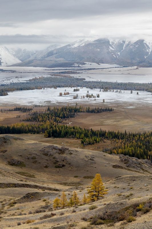russian, mountains, altay, алтай Как осень переходит в зиму фото превью