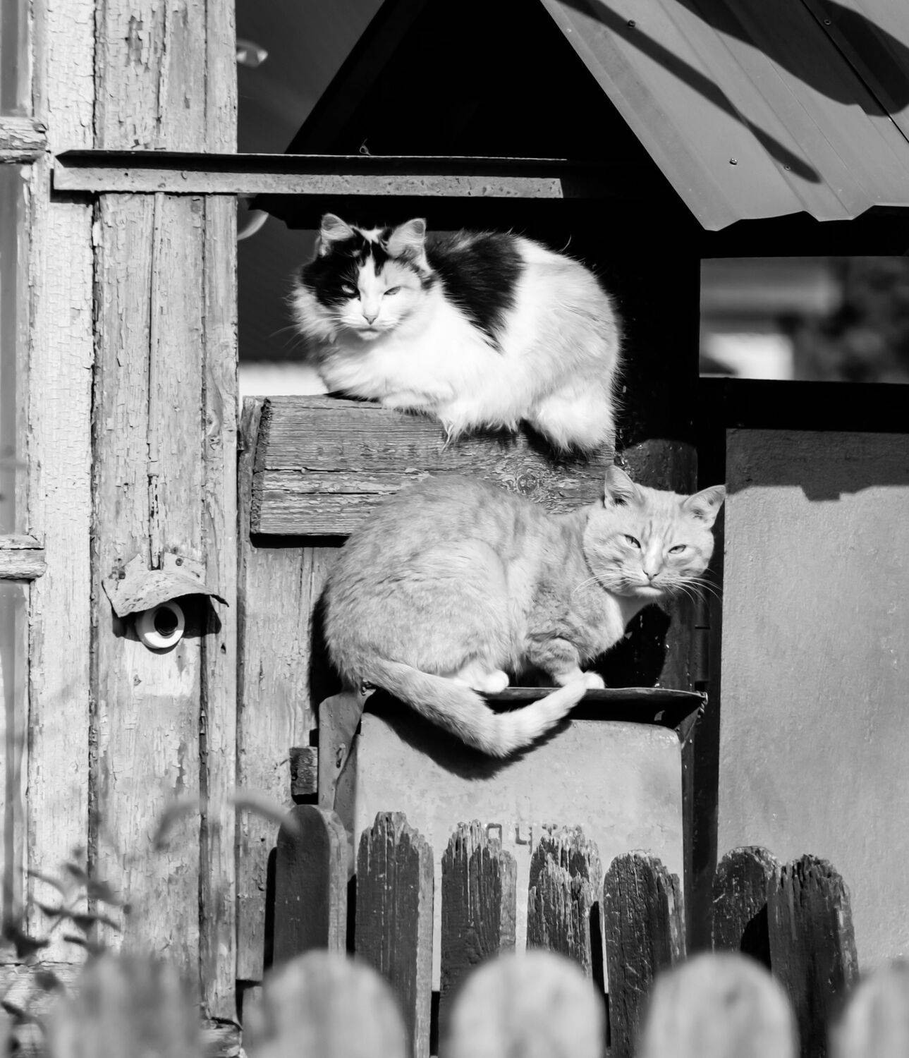 , Шилов Александр