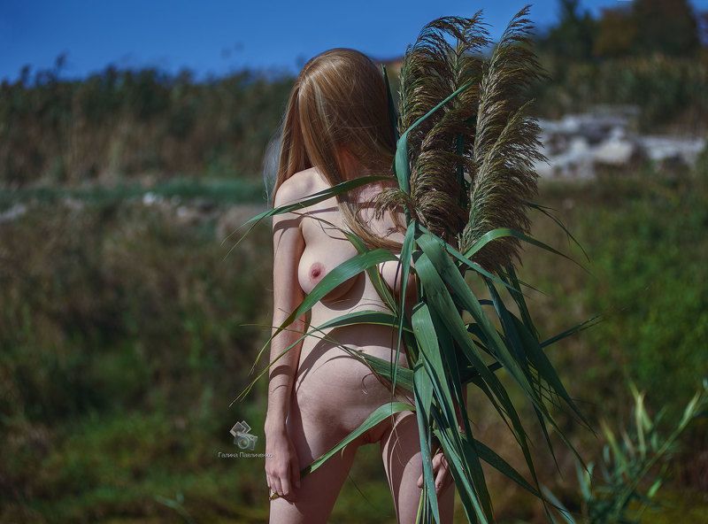 art nu,  photo, photography, eroticism, sexual, artistic erotica, girl, naked body, nude, nu, топлес, фотохудожники, художественная фотография, ретушь, эротика, ню, обнажённое тело, сексуальность, фотосессии в краснодаре https://boosty.to/galinap фото превью