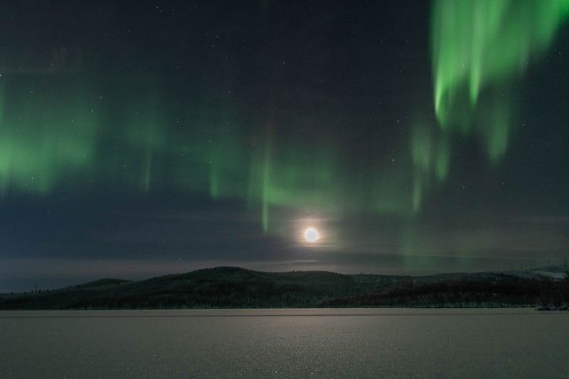 Северный тандем фото превью