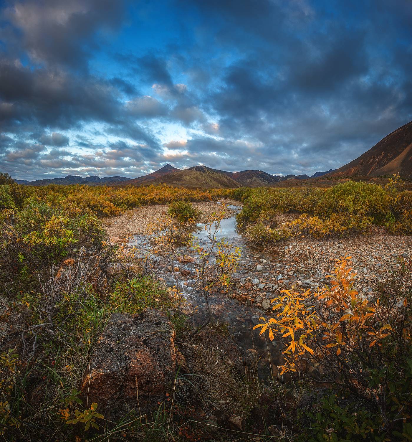 , Андреев Николай