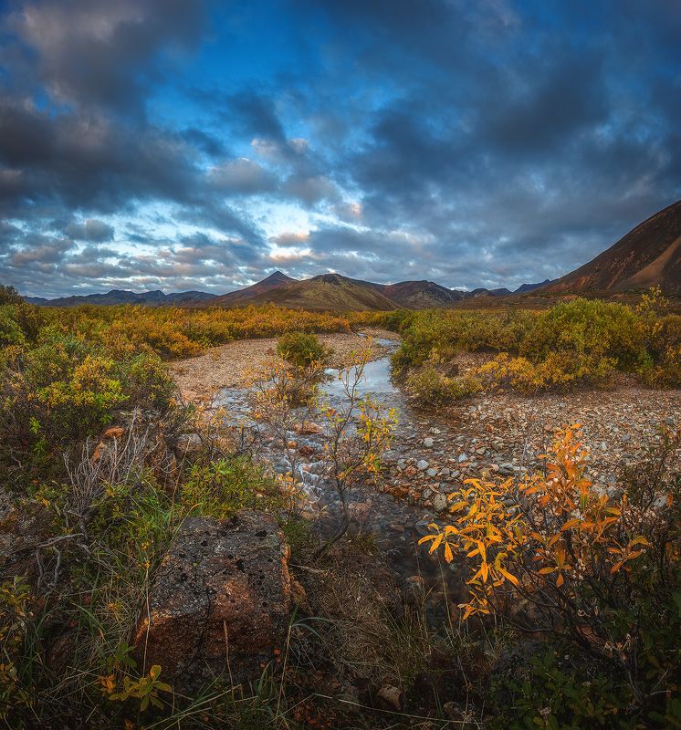 Чукотка 2023 фото превью