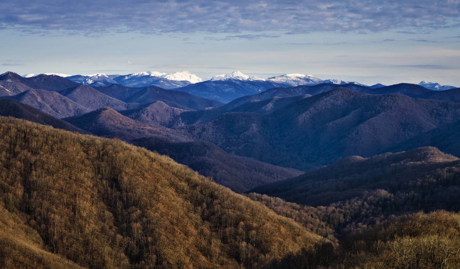 , Антон Литвин