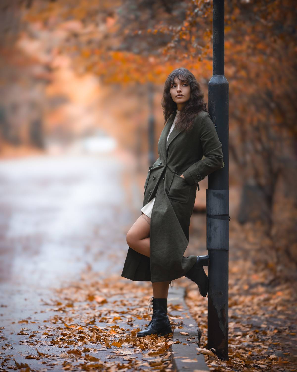 портрет,девушка,осень,чулки, Дмитрий Александров