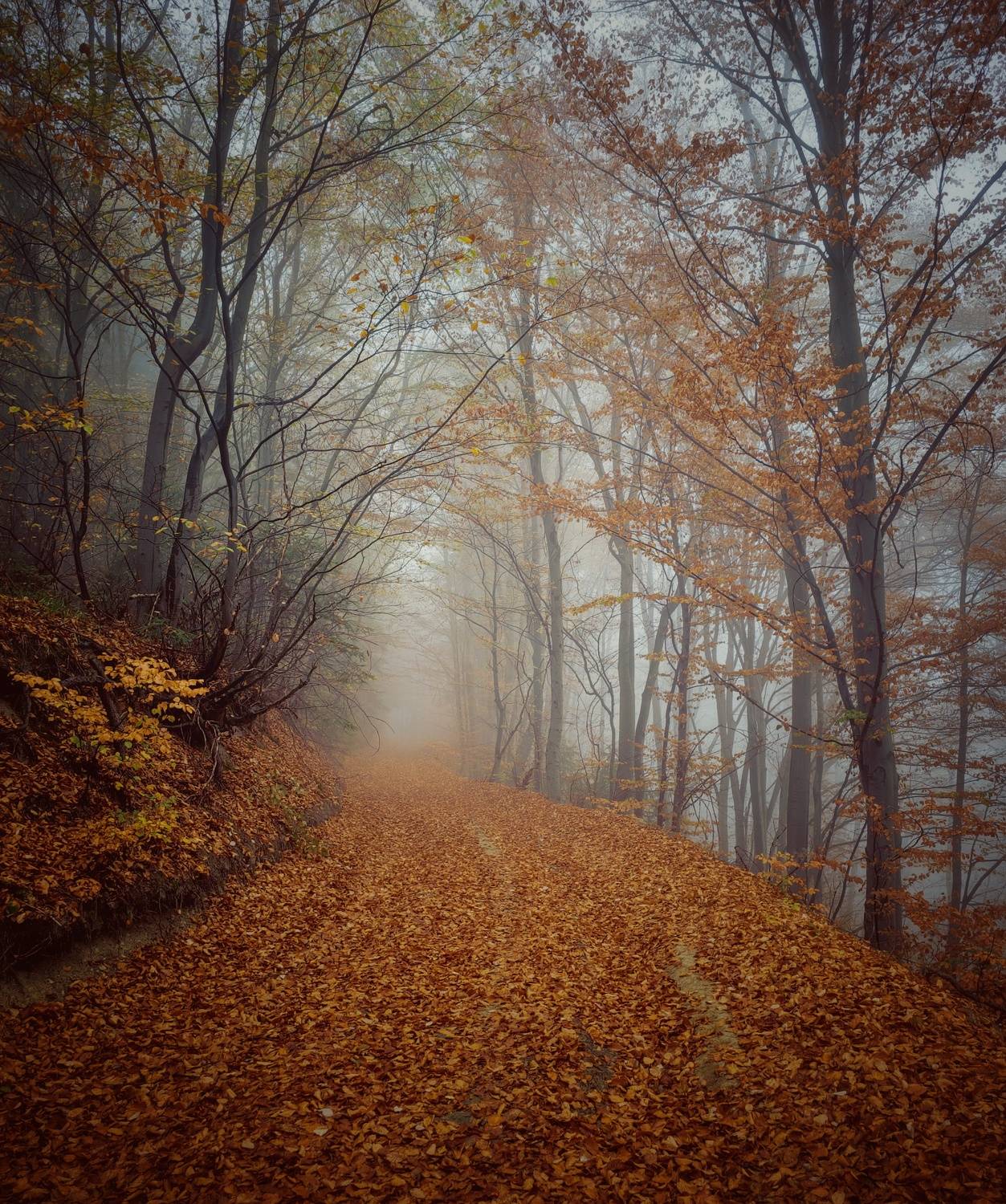 , Герчев Николай