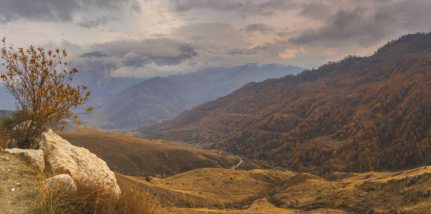 панорама, Ирина Шипунова