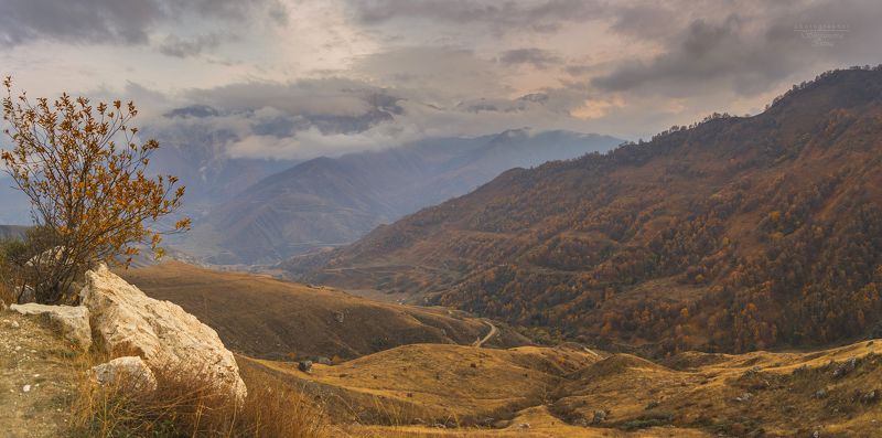 панорама Последний аккорд осени фото превью