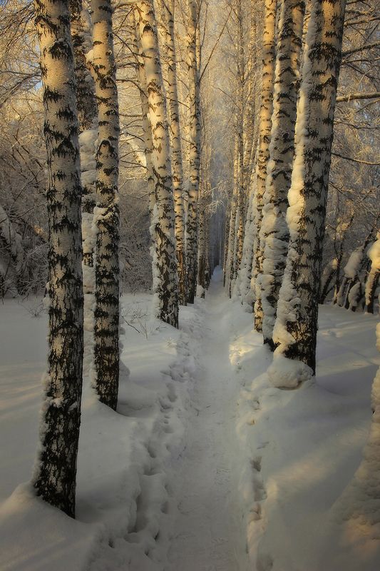 Алексей Хахлов