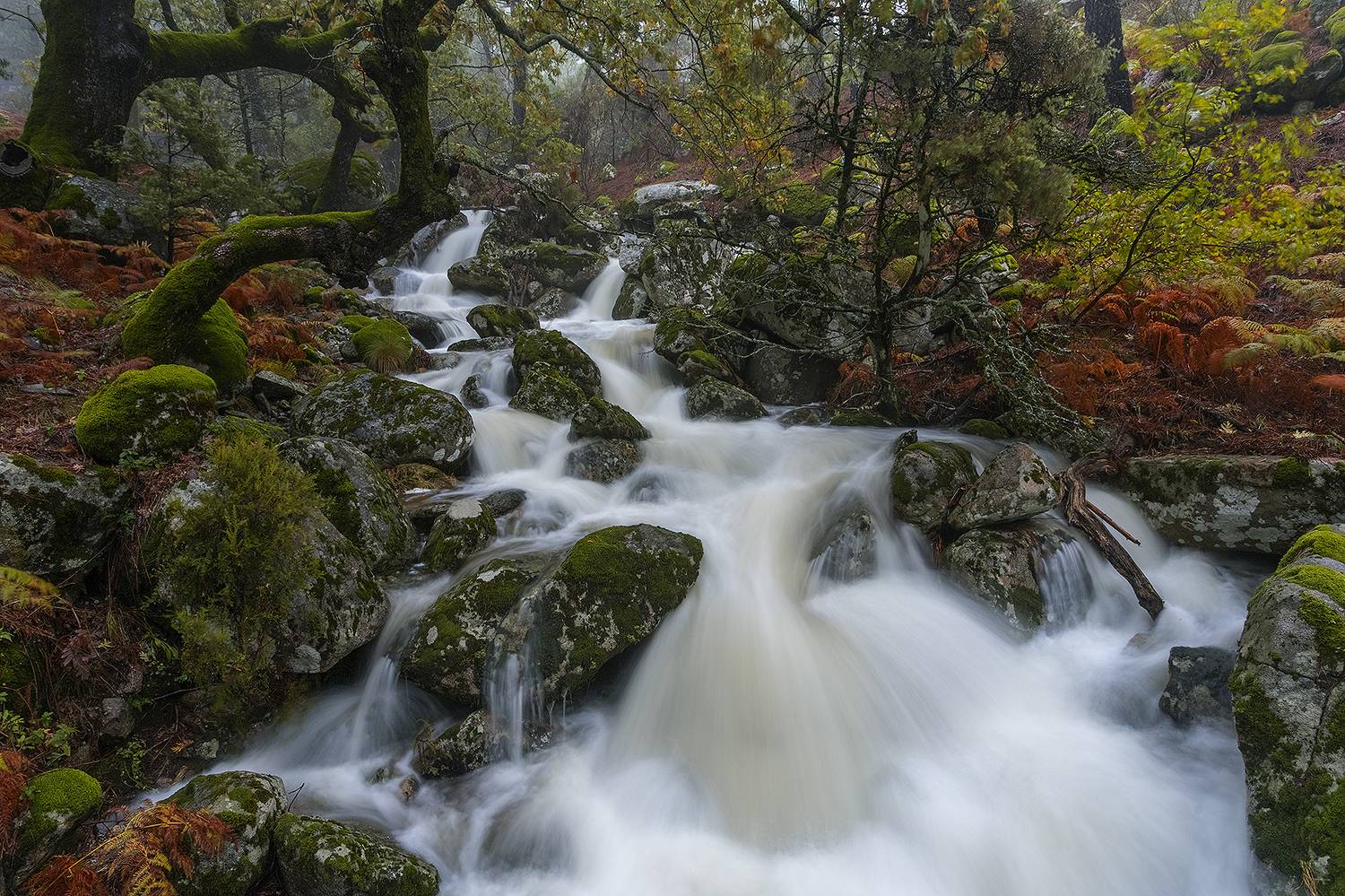 photography, mountain, autumn, fog, landscape, photo, color, flowers, land, landmark, lands, soft ligth, ligth, mountains, photo, river, jimenez millan samuel