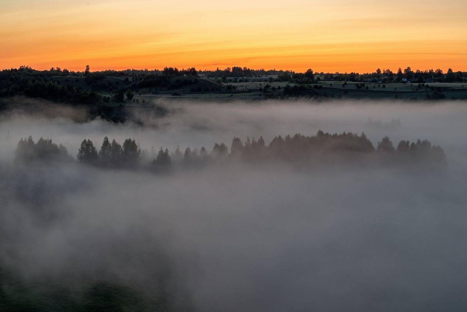 , Виктор Желенговский