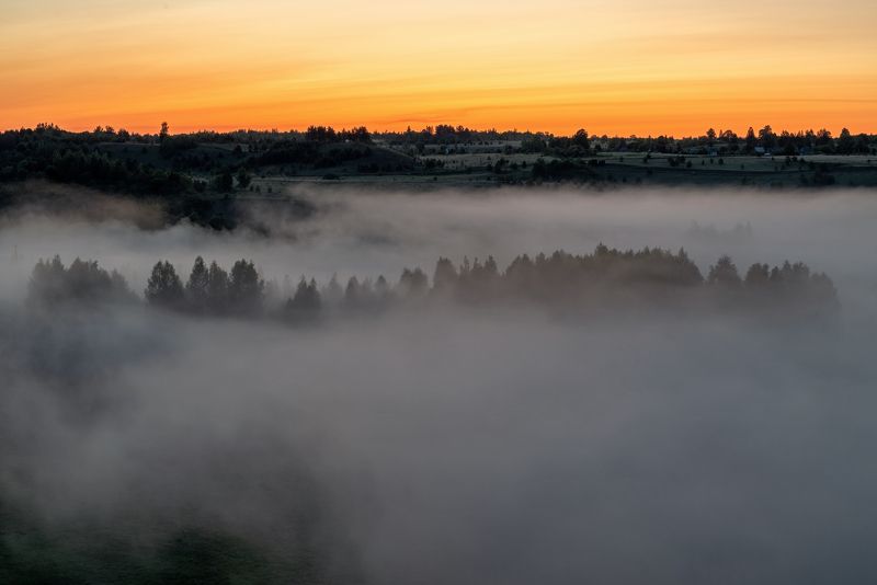 Туманное утро фото превью
