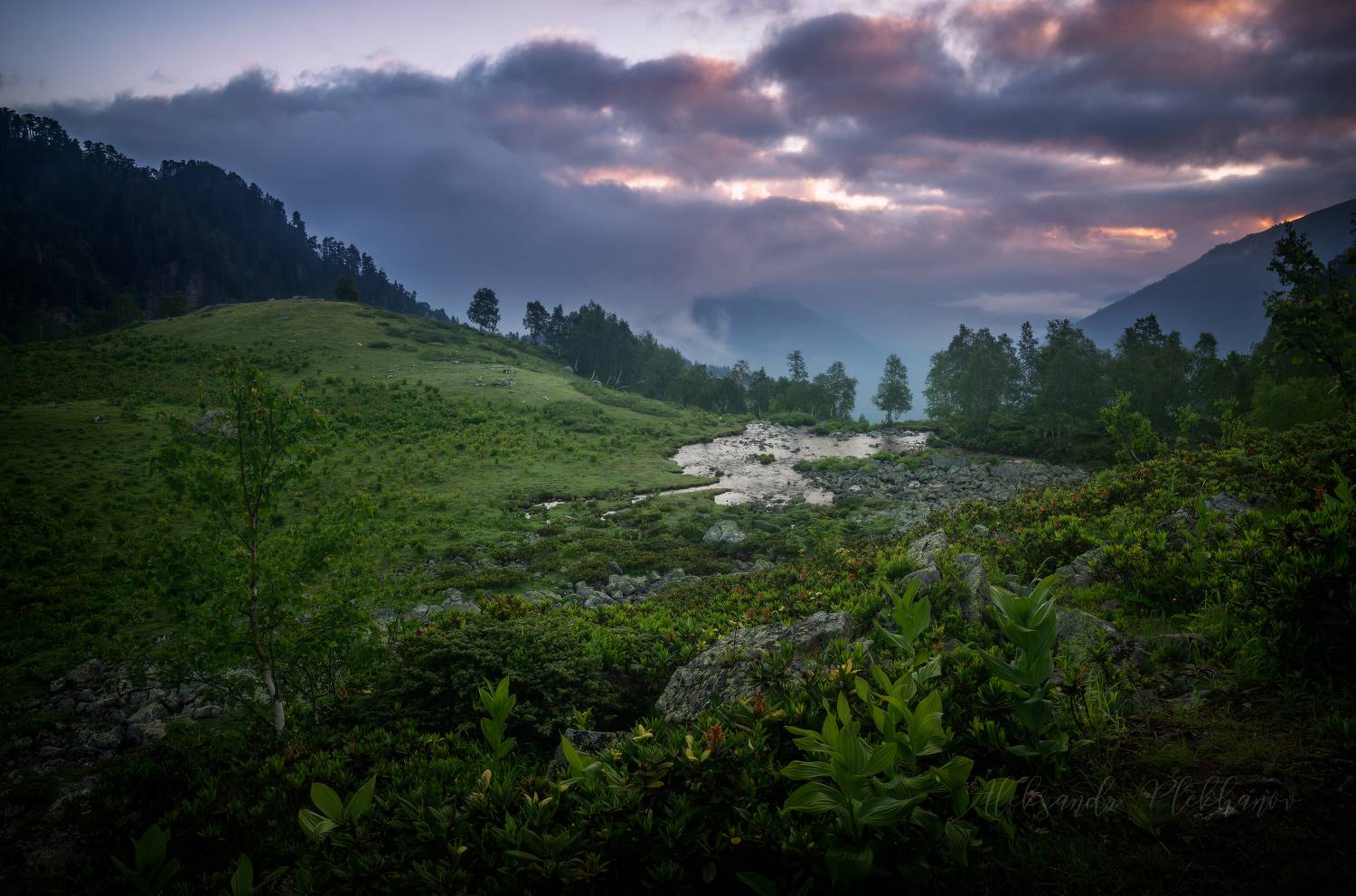 репост, Плеханов Александр