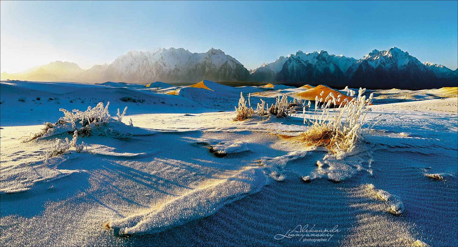 , Александр Леснянский