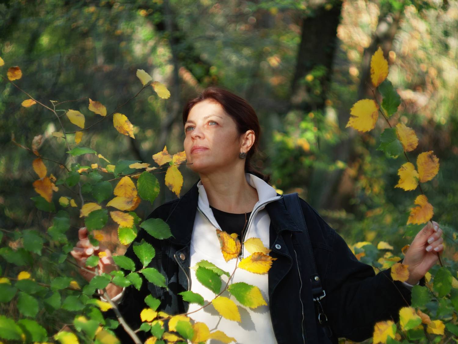 sigma sd quattro, Дмитрий Цыпляев